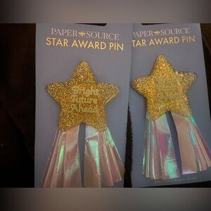 Paper Source Glittering Gold Star Award Pin with Pink Ribbons